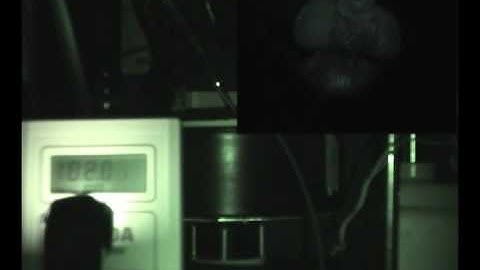 Dpse Optomotor Response Values