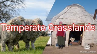 Temperate Grasslands explained in English and Hindi #temperate #grasslands