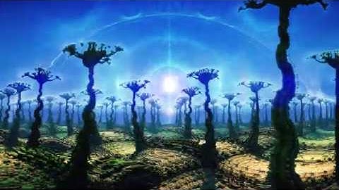 VJ show with fractals: Conscious Coral VJ Pack