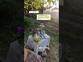 #мояосень #надаче