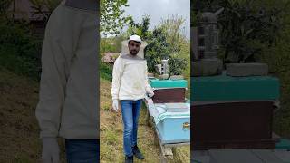 Kovan Kontrolünde Bilinmesi Gereken Basit Bi̇rkaç Kural🐝