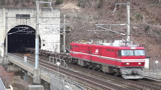 電気機関車EH800（３）　～青函トンネルから顔を出すEH800　海峡線旅客列車全運休日～