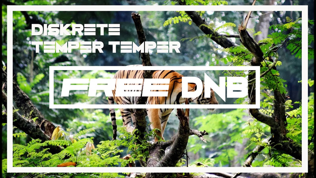 free dnb loops Diskrete - Temper Temper {Free Dnb Download}