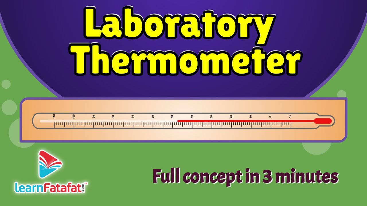 What Is Laboratory Thermometer Short Answer 7 2024 What Is Laboratory Thermometer Short Answer 7 2024