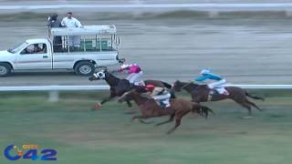 weekly horse race in Lahore Race Club screenshot 3