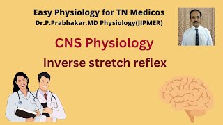 Inverse stretch reflex