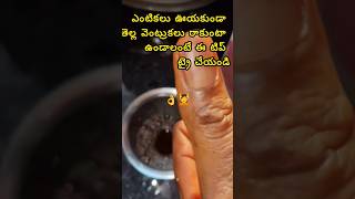viral ## hair fall tips #subscribe viral shorts# vlogs #recipe