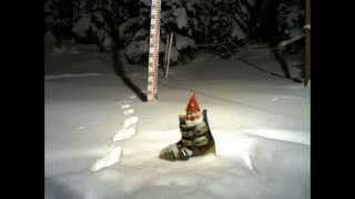 Gnome footprints. Did he go for a whiz or is there another culprit? | Sunshine Village