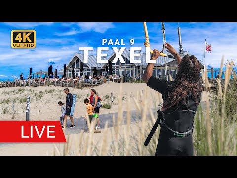 Live Webcam Texel: Paal 9 Beach & Surf Conditions — Texel, North Holland live camera thumbnail