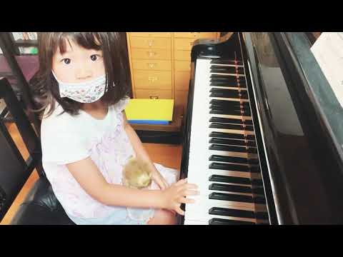 【年長さん】踊るポンポコリンを歌いながら弾く