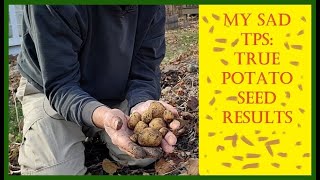 TPS Fail? | My True Potato Seed Results