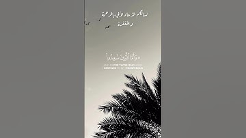 [سورة هود]#ماهر_المعيقلي #اللهم_ارحم_موتانا #اكسبلور #quran #shortvideo #explore #explorepage #fyp