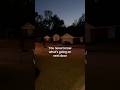 Song is Strayline - Breathing #mentalhealth #furries #furry #shoegaze video from j4len.silverfox
