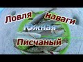 Рыбалка на песчаном,южная сторона,ловля наваги  Приморский край 2020