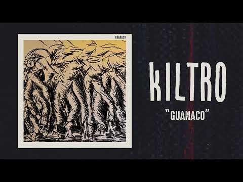 Guanaco