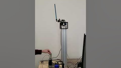 Inverted Pendulum Dynamics & Control