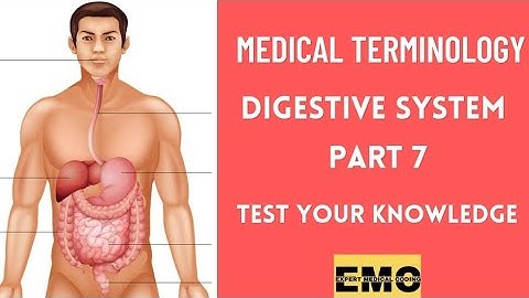 Medical coding course|Digestive system questions and answers part 7|Practice|#medicalcoding #medical