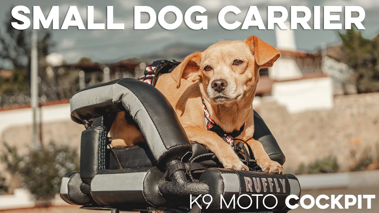 Share the thrill of the ride with the K9 Moto Cockpit! - YouTube