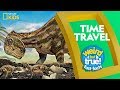 Speed and Time Concepts