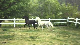 DSCF0971