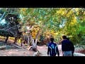 4K WALK : FERN DELL NATURE TRAIL LOS ANGELES