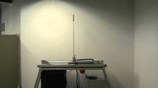 Inverse Pendulum Local Feedback