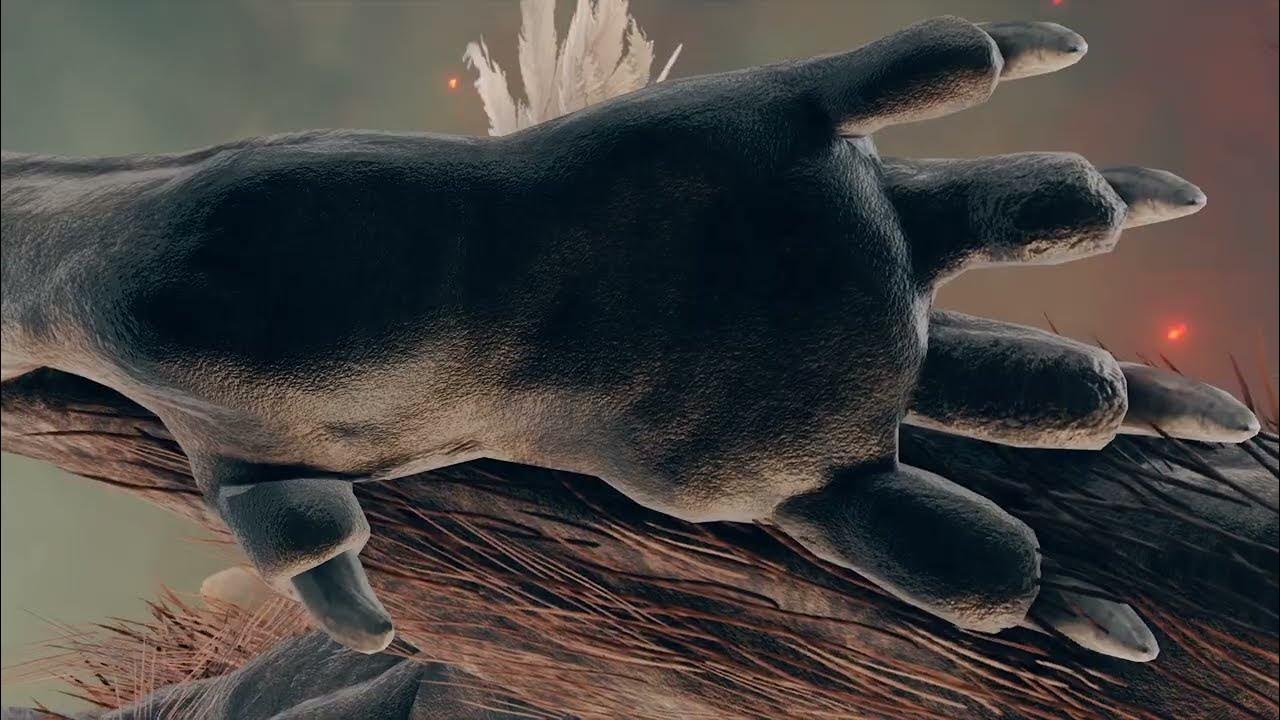 Basilisk, Zombie, Pumpkin, Margit, Misbegotten Footage from Elden Ring