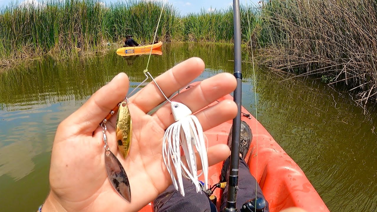Lobinas No se Resisten a mi Técnica Secreta! | Pesca en Kayak!