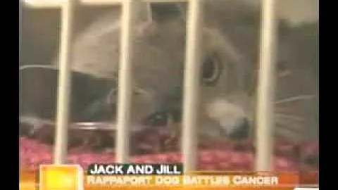 Dr. Gerald Post on NBC Today - Jill Rappaport's Ge...