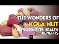 Unlocking a natural pharmacy the untapped health benefits of kola nuts  cola acuminata  nitida