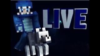 GOMME SCHWITZEN | QSG TOP 10 KRANK