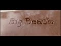 Rialtobig beach films logos 2012