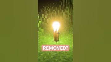 BIG UPDATE REMOVED FROM MINECRAFT VIBRANT VISUALS?!