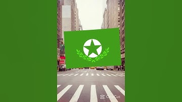 Custom flags i made #shorts #flag #countries