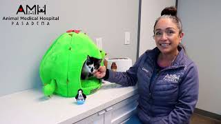 Warm and Welcoming Pet Care Experience! | Animal Medical Hospital of Pasadena