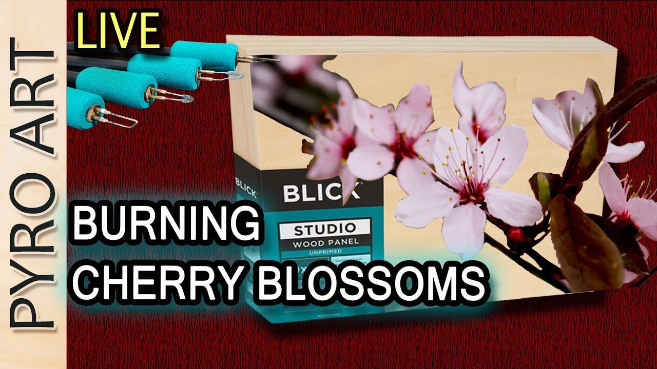 pyrography-live-wood-burning-cherry-blossoms-how-can-you-improve-your-woodburning-skills