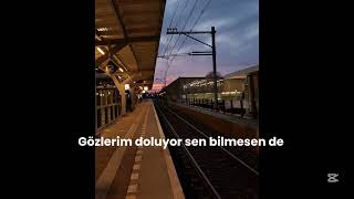 Semicenk - Çıkmaz Bir Sokakta 