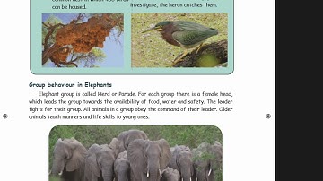 4th science Term 3 Lesson 2 LIFE OF ANIMALS