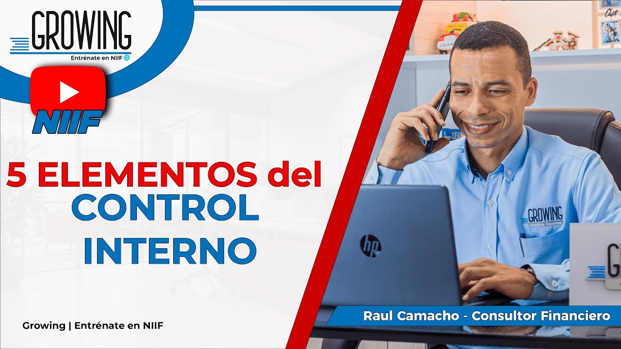 Los 5 ELEMENTOS del CONTROL INTERNO - NIA 315 - Raul Camacho