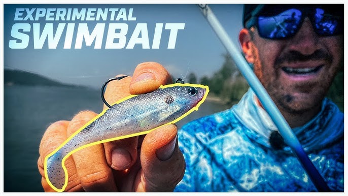 Use the Storm® 360GT Searchbait® Swimmer for Depth Control 