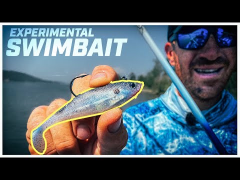 Overlooked Shad-Imitating Swimbait
