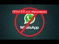 Бойкот WhatsApp для родительских чатов