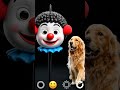 ku ku a kukkuki #viral #ai #dog #dogs