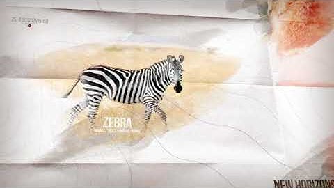 Openers ► Adventure | After Effects Template #AfterEffectsTemplate #Videohive