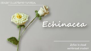 How to Crochet Echinacea | Detailed Crochet Tutorial