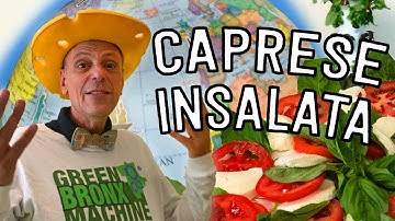 Mister Ritz Makes Caprese Insalata | Tower to Table to Tummy | Kids Recipes