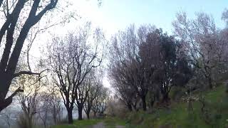 Cenneti Merak Eden Alanyaya Gelsin