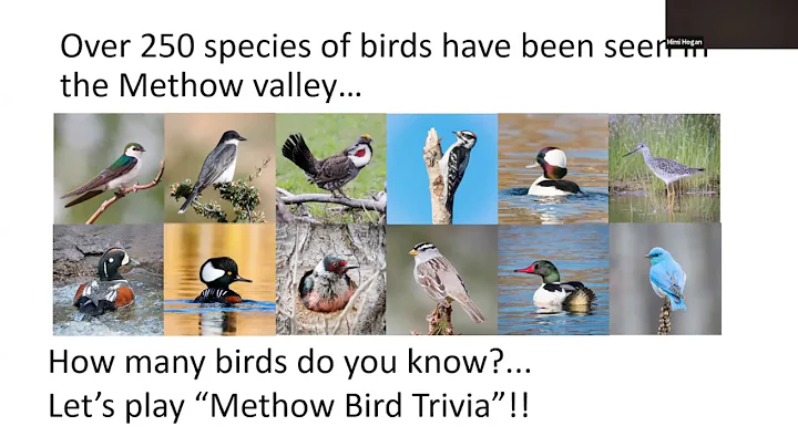 Bird Trivia with Janet Bauer