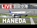 羽田空港ライブ配信 (8月25日PM-2) アーカイブ - Haneda Airport Live on August 25, 2020