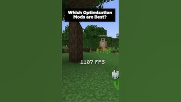 Which Optimization Mods are Best? #shorts